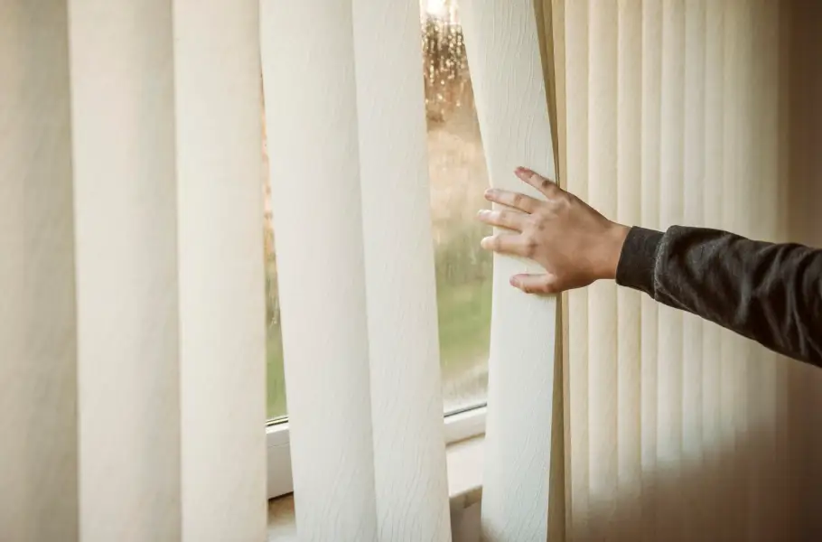 Custom Window Treatment